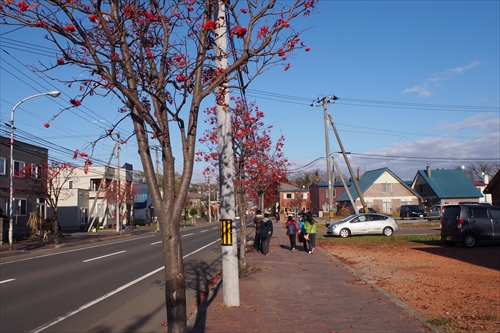 野幌街歩き