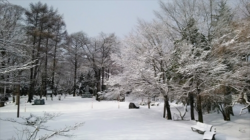 錦山緑地（冬）