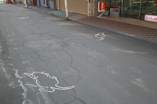 大麻銀座商店街の道路に描かれた猫