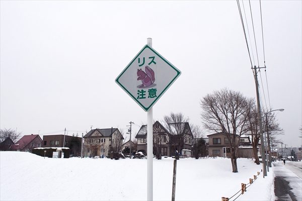 リス注意の道路標識