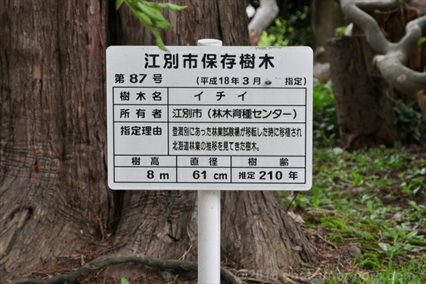江別市保存樹木・説明板