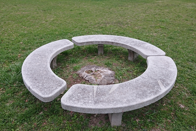 円形ベンチ