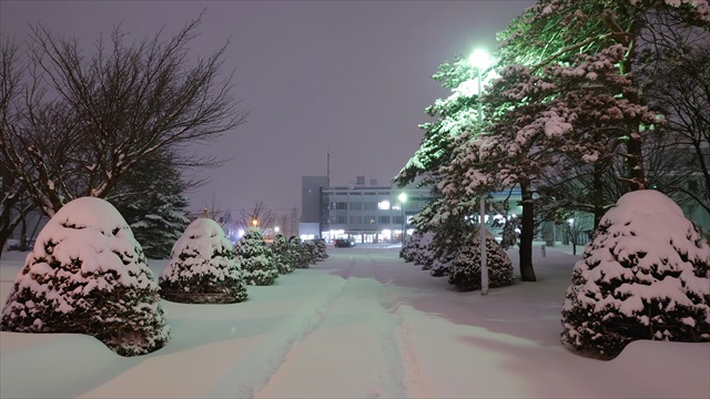 2022年12月8日大雪 江別市役所