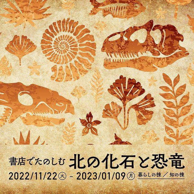 江別蔦屋書店「書店で楽しむ北の化石と恐竜」