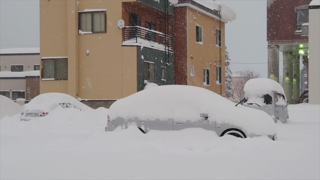 雪に埋まった車
