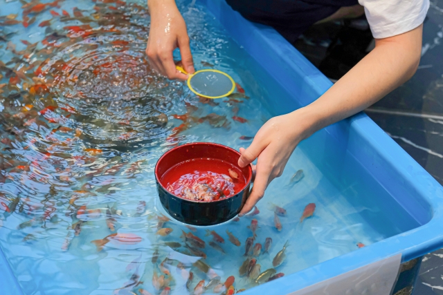 お祭り・夏祭り