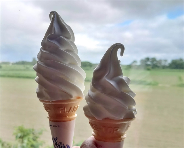 町村農場ミルクガーデン ソフトクリーム