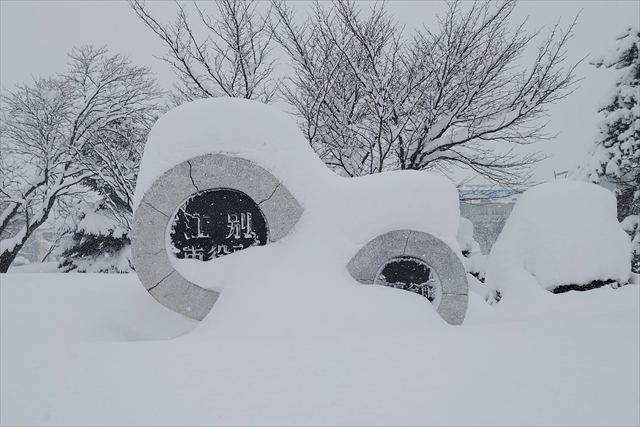 江別市内2024年1月16日大雪の様子