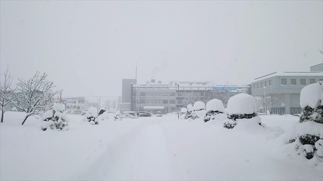 江別市内2024年1月16日大雪の様子