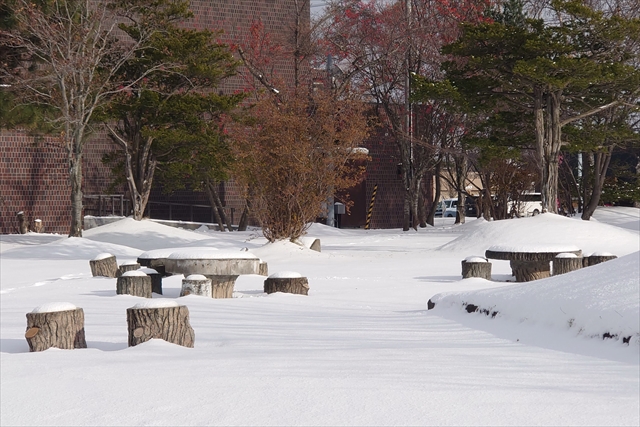 江別市役所 積雪状況（2024年11月19日）