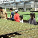 江別まちけんキッズ応援隊「フラワーテクニカえべつ」