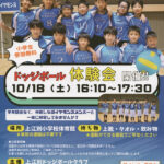 ダイヤモンズ ドッジボール体験会開催情報