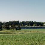 酪農学園大学と国道12号