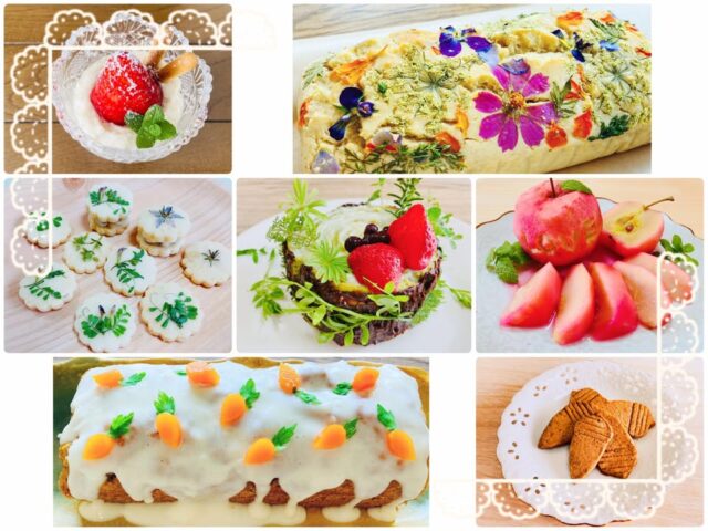 薬草カフェ妖精のごはん メニューイメージ