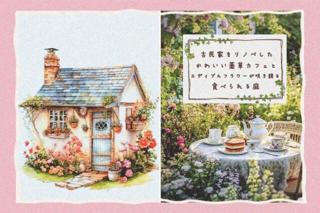 薬草カフェ妖精のごはん店舗イメージ