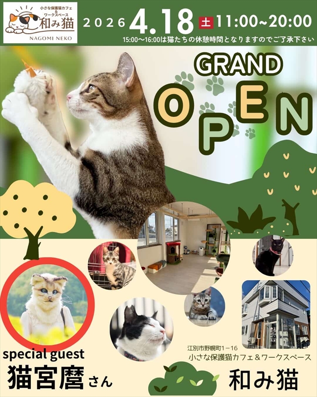 小さな保護猫カフェ&ワークスペース 和み猫(なごみねこ)グランドオープン