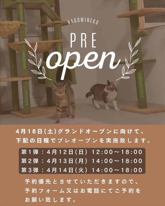 小さな保護猫カフェ&ワークスペース 和み猫(なごみねこ)プレオープン日程