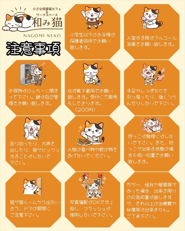 小さな保護猫カフェ&ワークスペース 和み猫(なごみねこ)注意事項