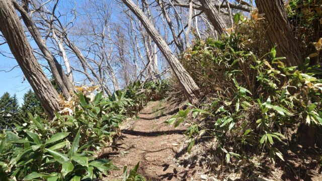 二宮金次郎像 跡地