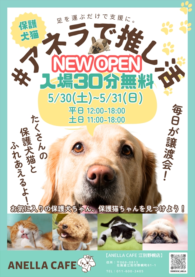 アネラカフェ江別野幌店オープンキャンペーン