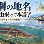 【江別市】「江別」の地名はサメが由来って本当？チョウザメと石狩川にまつわる意外な歴史