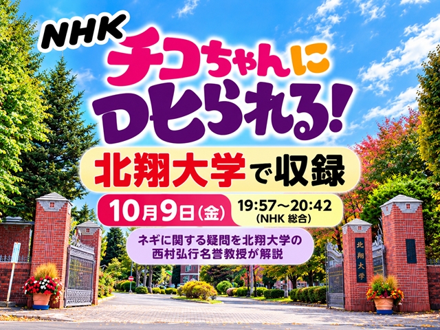 【江別市】NHK「チコちゃんに叱られる！」が北翔大学で収録！ネギ研究50年の名誉教授が出演、10月9日放送