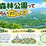 【江別市】野幌森林公園って実際どれくらい広いの？色々な場所と比較してみた