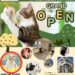 小さな保護猫カフェ＆ワークスペース 和み猫（なごみねこ）グランドオープン